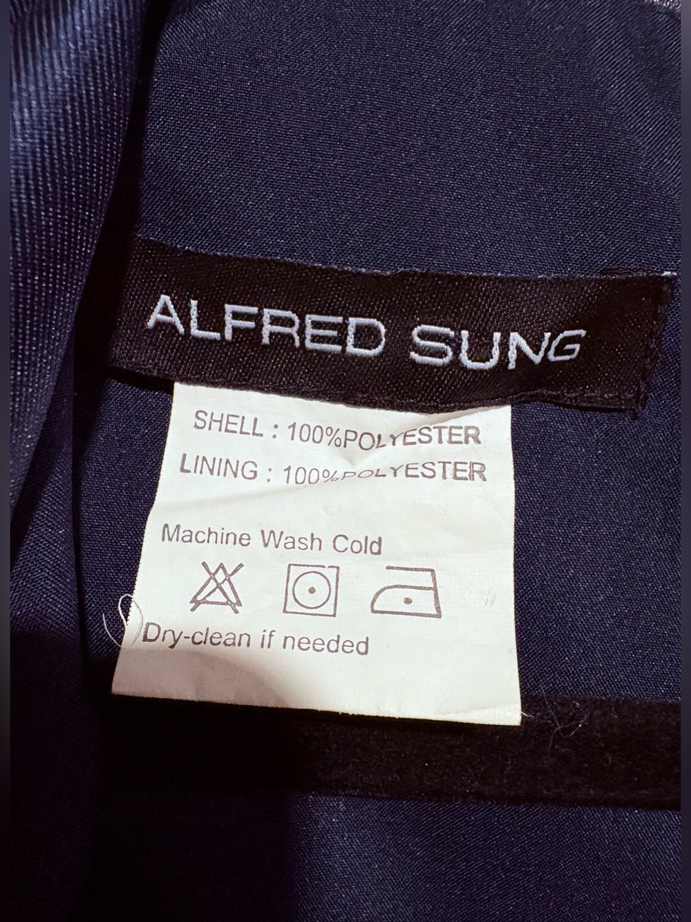 Alfred Sung - Picture 4 of 5